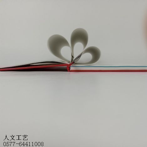学习笔记本定制RW-1003