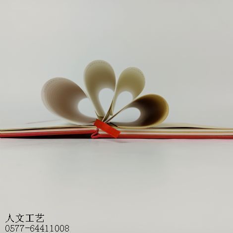 学习笔记本定制RW-1004