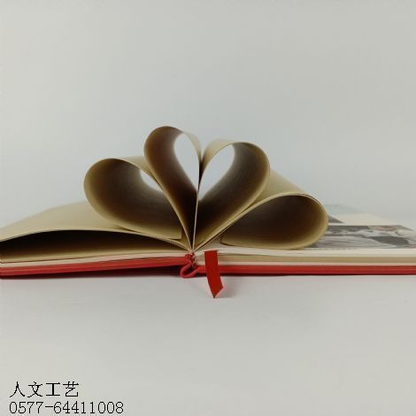 学习笔记定制RW-1008