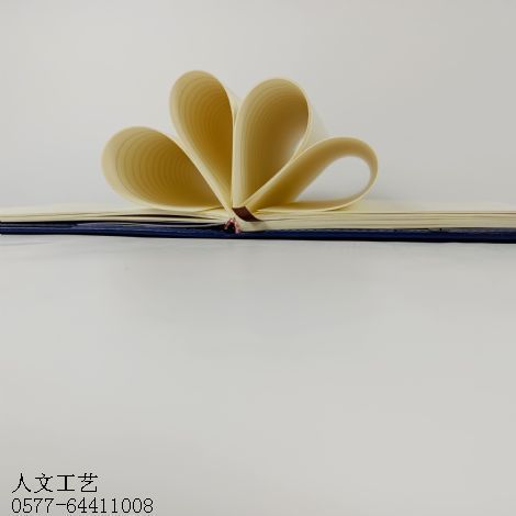 学习笔记定制RW-1010